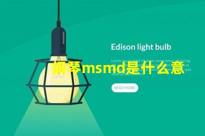 鋼琴msmd是什么意思 rnaknsmd是什么意思